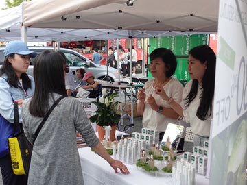 LEARNING ABOUT DAYNUE, THE STORY of natural K-beauty!
