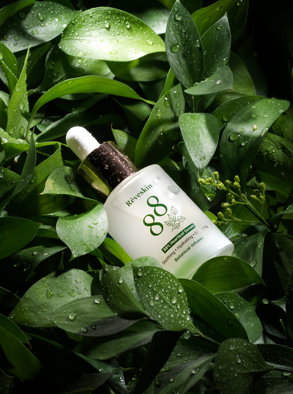 Rêveskin Heartleaf 88 Serum
