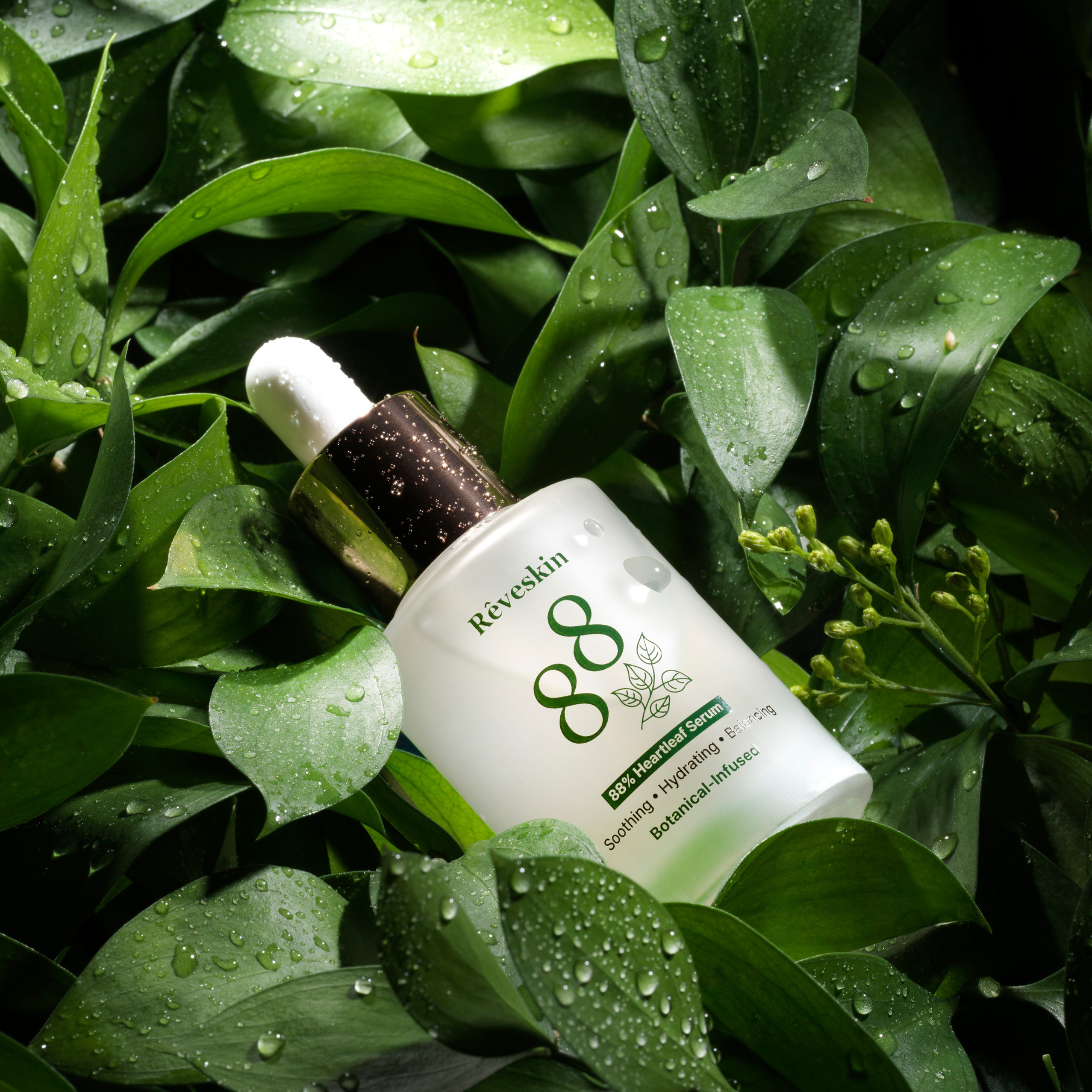 Rêveskin Heartleaf 88 Glow Serum